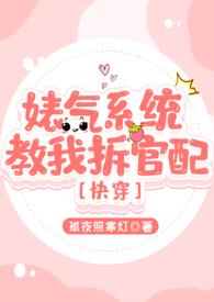 婊气系统教我拆官配[快穿，nph]封面